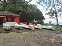 Visite de la petite cousine !